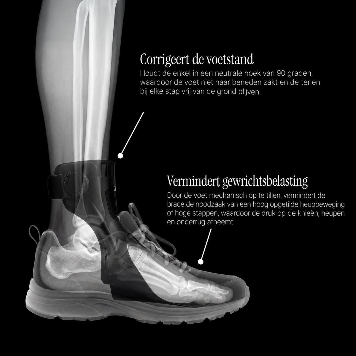 Foot Drop Walking Support — voetstand en gewrichtsbelasting — NL