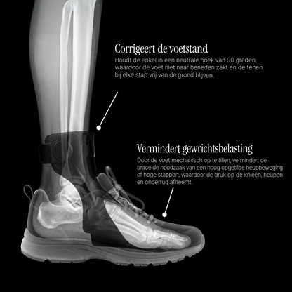 Foot Drop Walking Support — voetstand en gewrichtsbelasting — NL