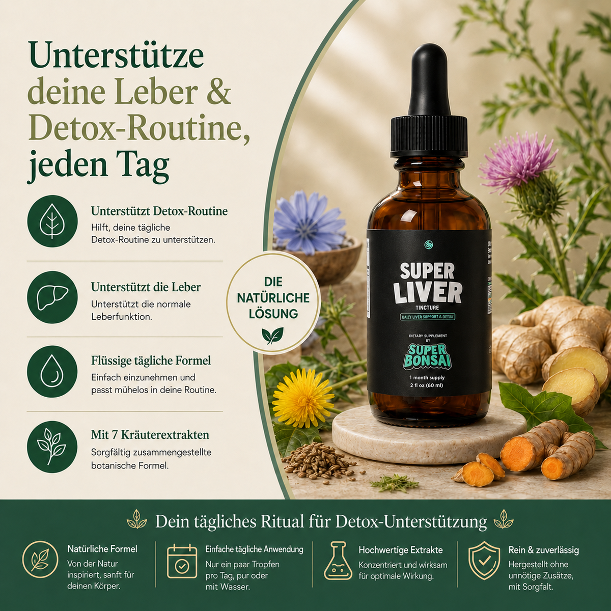 Super Liver – Vorteile und tägliche Unterstützung für Leber und Detox-Routine