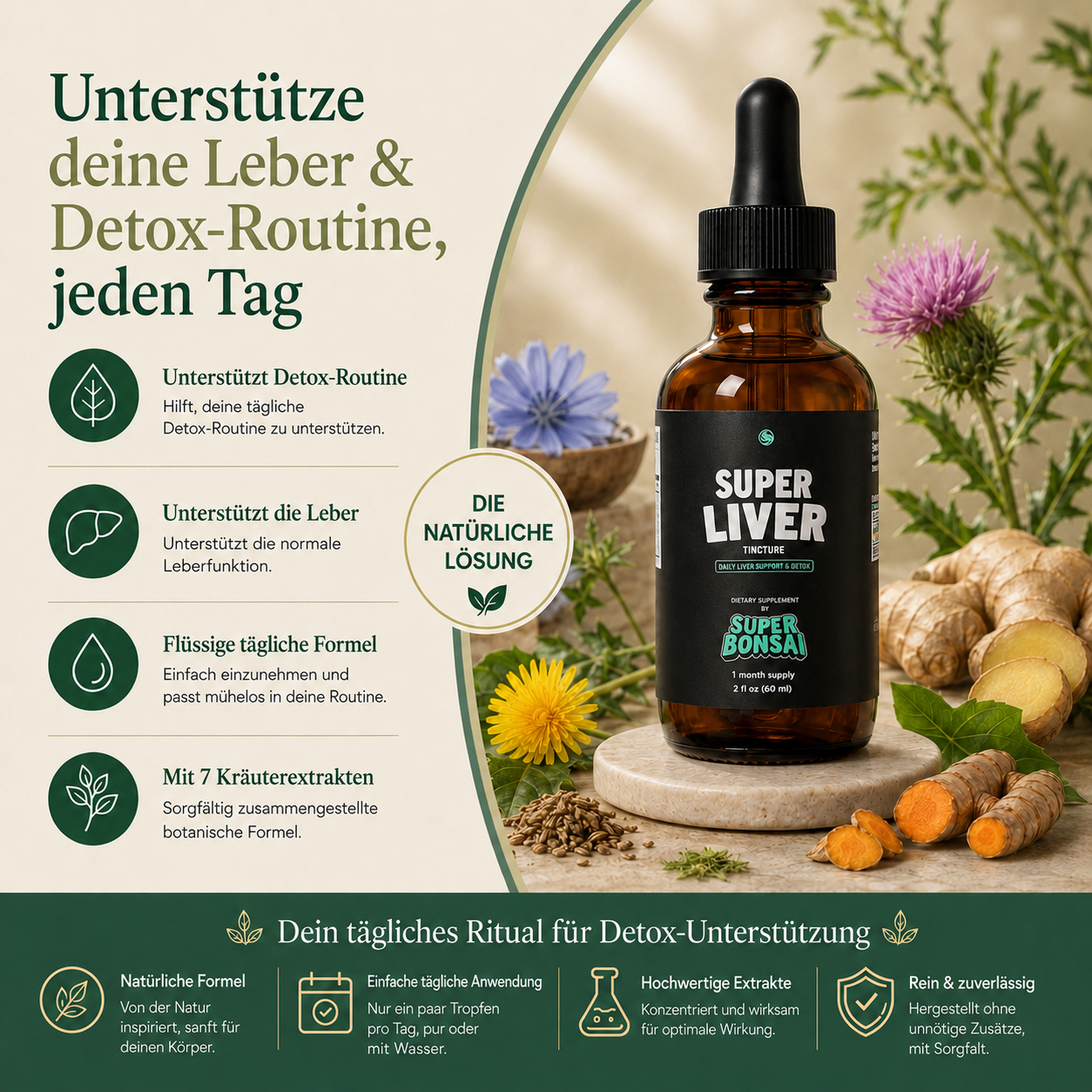Super Liver – Vorteile und tägliche Unterstützung für Leber und Detox-Routine