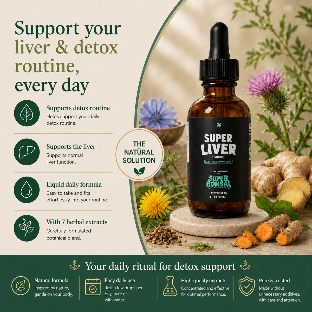 Super Liver – benefits and daily support for liver health and detox routine