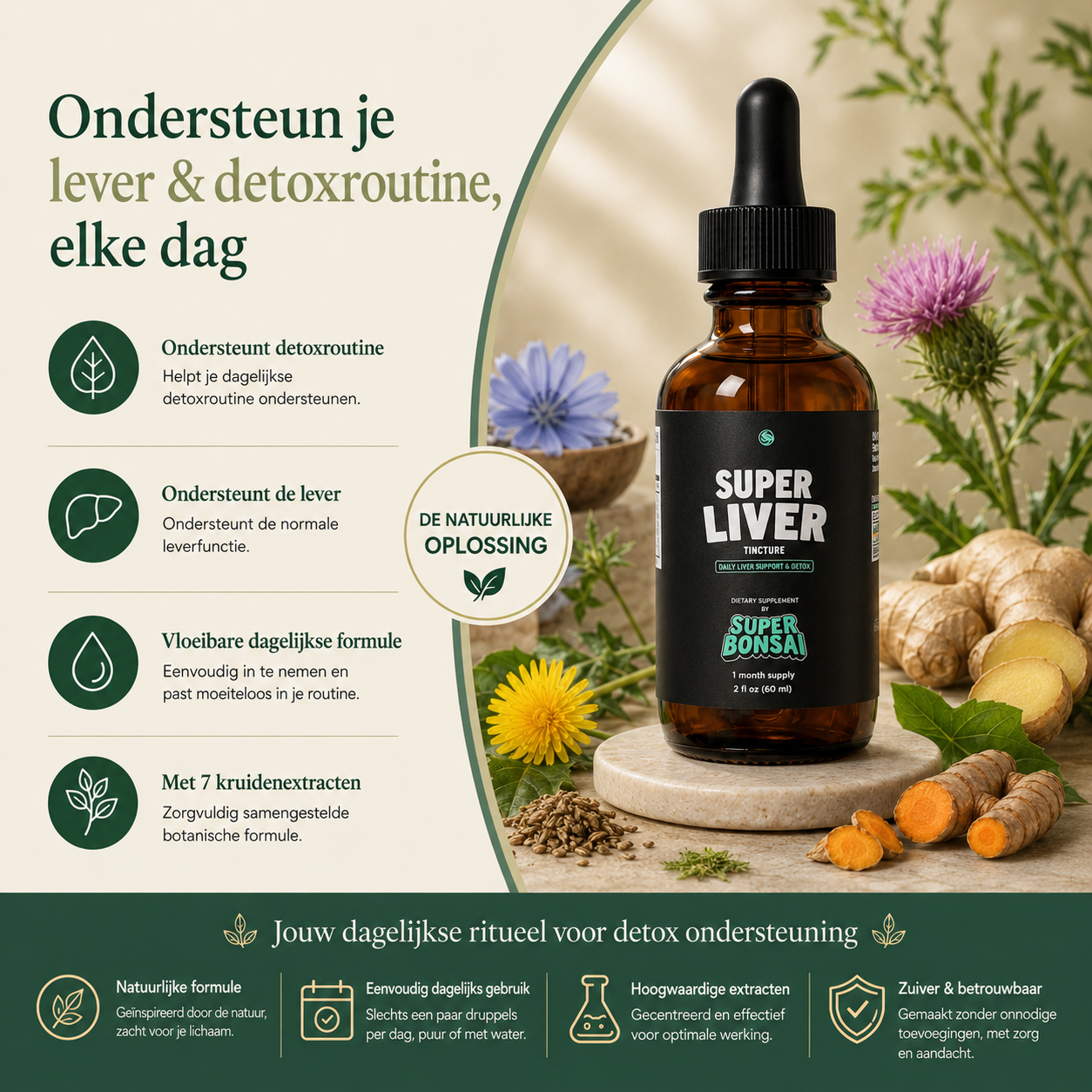 Super Liver – voordelen en dagelijkse ondersteuning voor lever en detoxroutine