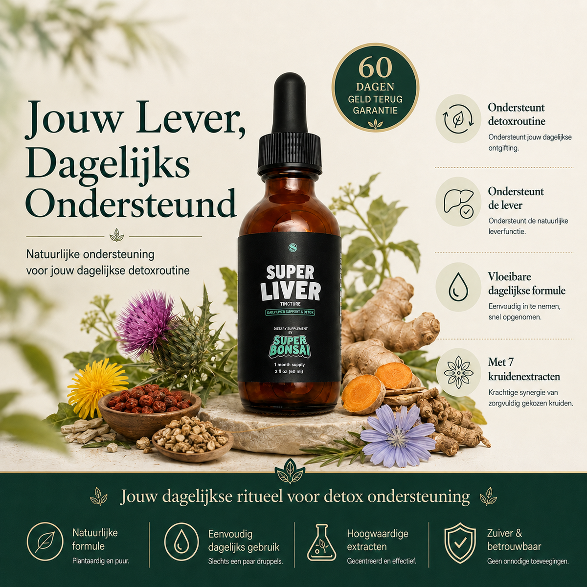 Super Liver – dagelijkse ondersteuning voor lever en detoxroutine